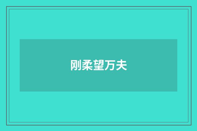 刚柔望万夫
