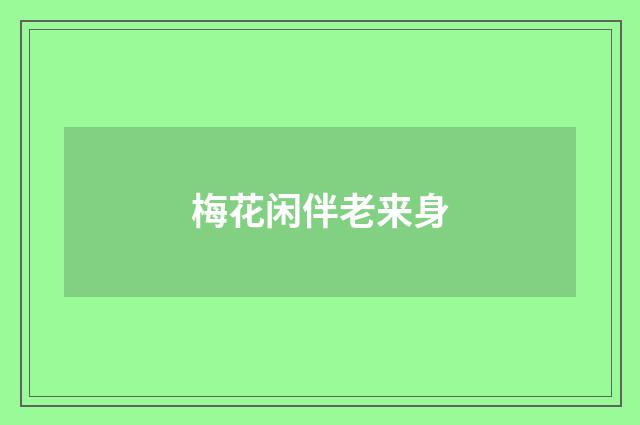 梅花闲伴老来身
