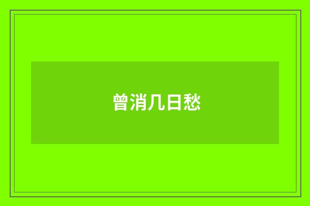 曾消几日愁