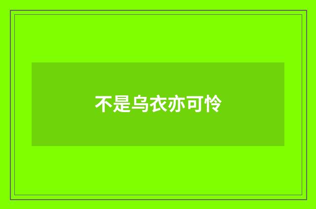 不是乌衣亦可怜