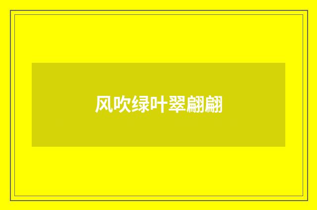 风吹绿叶翠翩翩