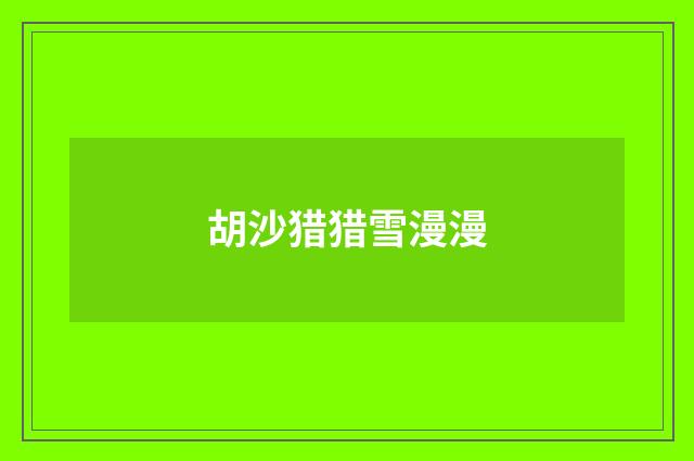 胡沙猎猎雪漫漫