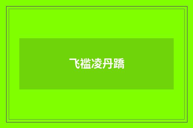 飞褴凌丹蹻