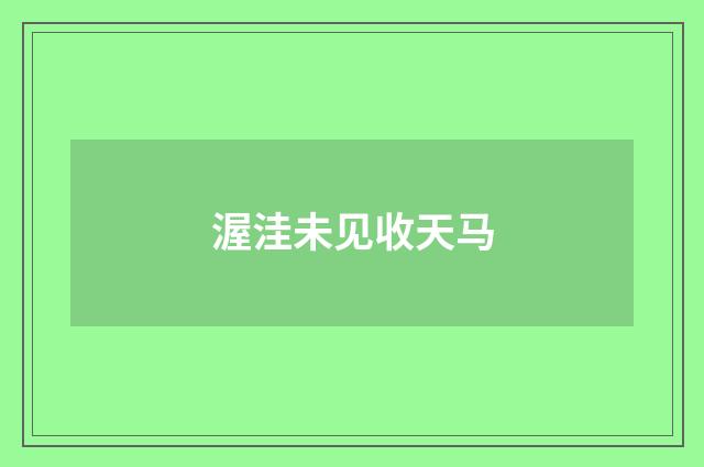 渥洼未见收天马