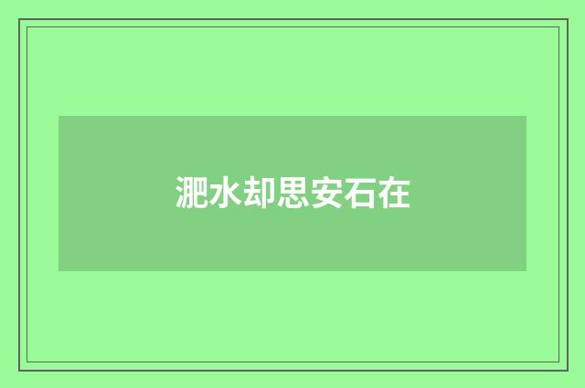 淝水却思安石在