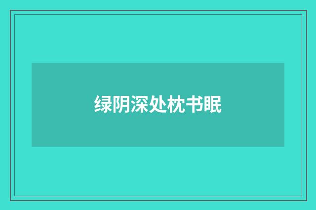 绿阴深处枕书眠