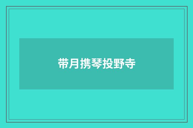 带月携琴投野寺