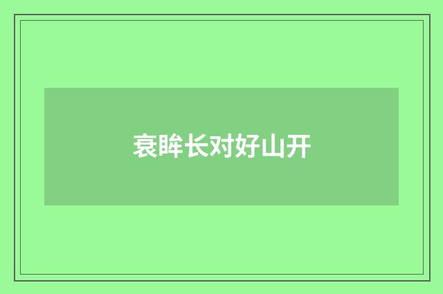 衰眸长对好山开
