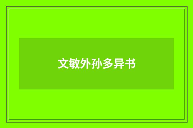 文敏外孙多异书