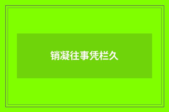 销凝往事凭栏久