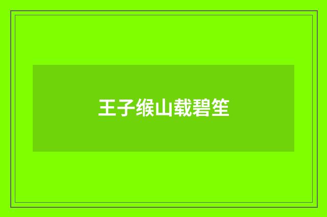 王子缑山载碧笙