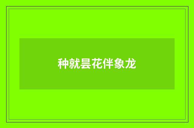 种就昙花伴象龙