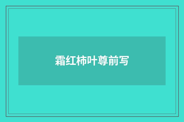 霜红柿叶尊前写