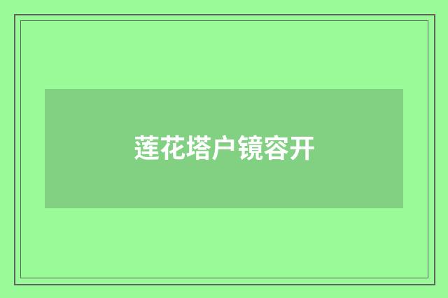 莲花塔户镜容开