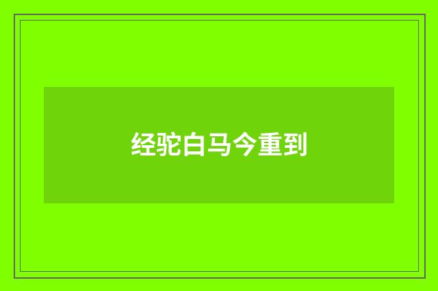 经驼白马今重到