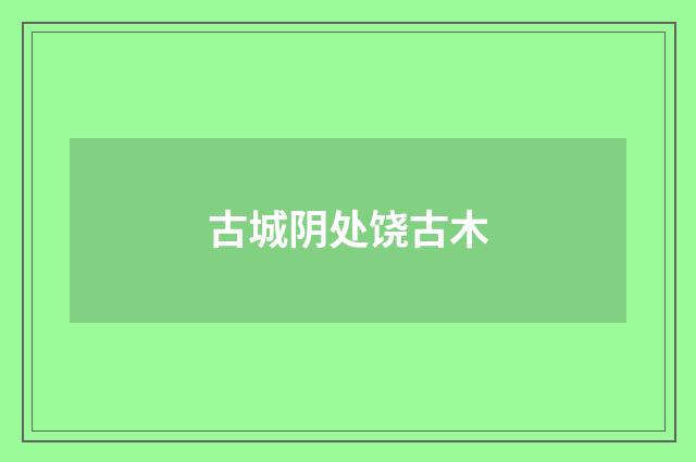 古城阴处饶古木