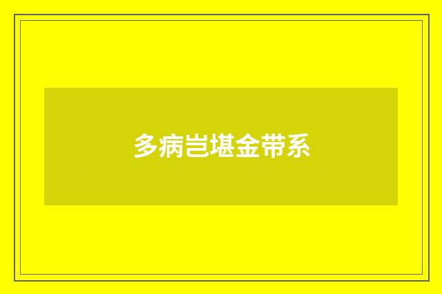 多病岂堪金带系