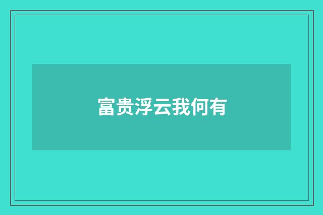 富贵浮云我何有