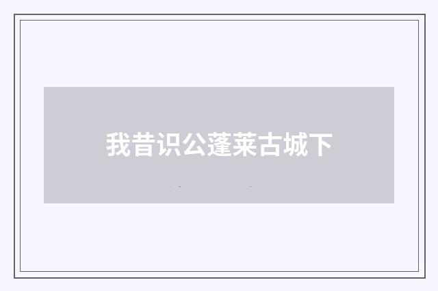 我昔识公蓬莱古城下