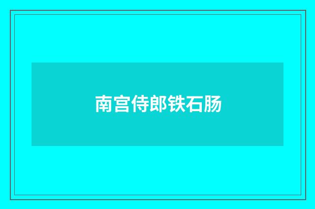 南宫侍郎铁石肠