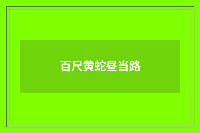 百尺黄蛇昼当路