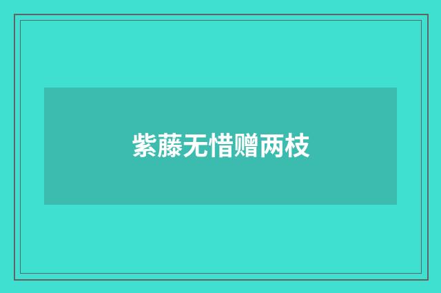 紫藤无惜赠两枝