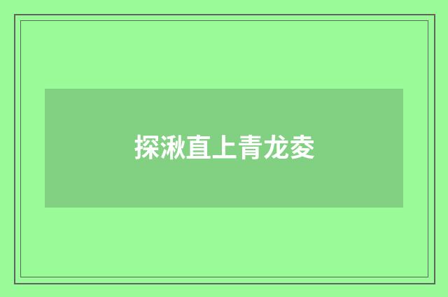 探湫直上青龙夌