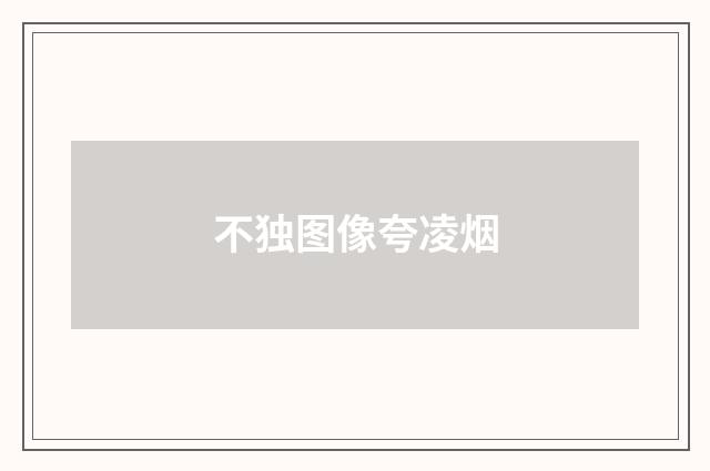 不独图像夸凌烟