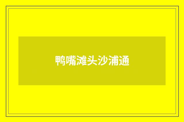 鸭嘴滩头沙浦通