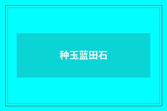 种玉蓝田石
