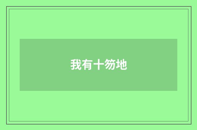 我有十笏地