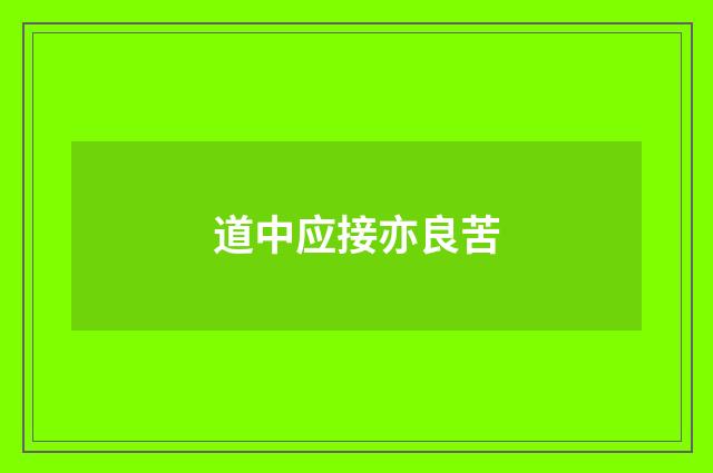 道中应接亦良苦