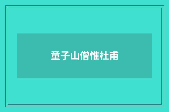 童子山僧惟杜甫