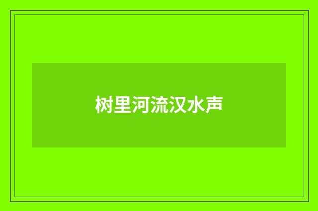 树里河流汉水声