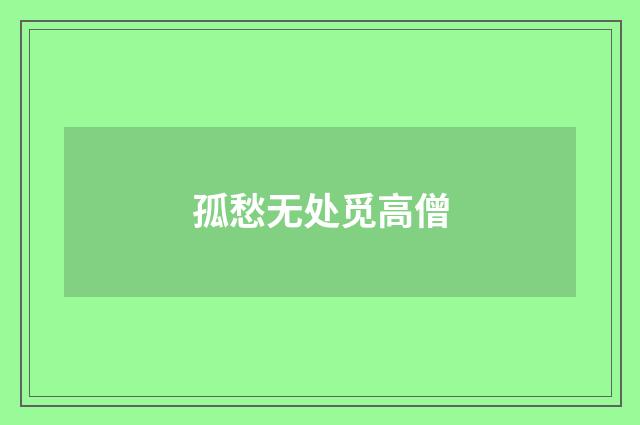 孤愁无处觅高僧