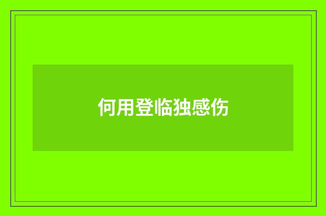 何用登临独感伤