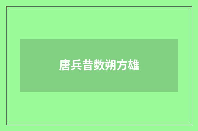 唐兵昔数朔方雄