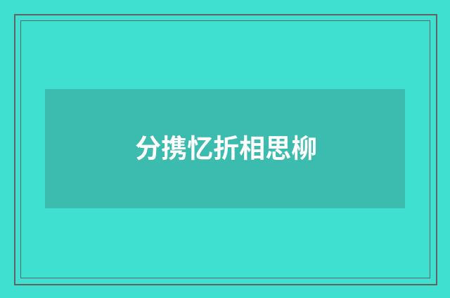 分携忆折相思柳