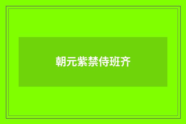 朝元紫禁侍班齐