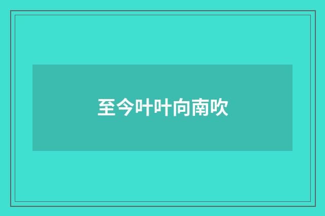 至今叶叶向南吹
