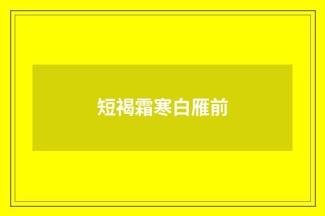 短褐霜寒白雁前