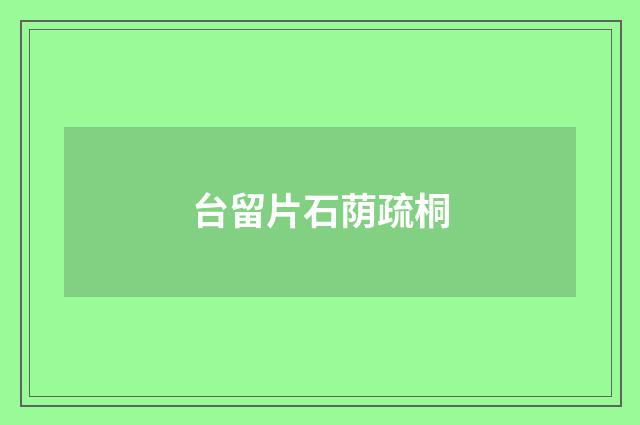 台留片石荫疏桐