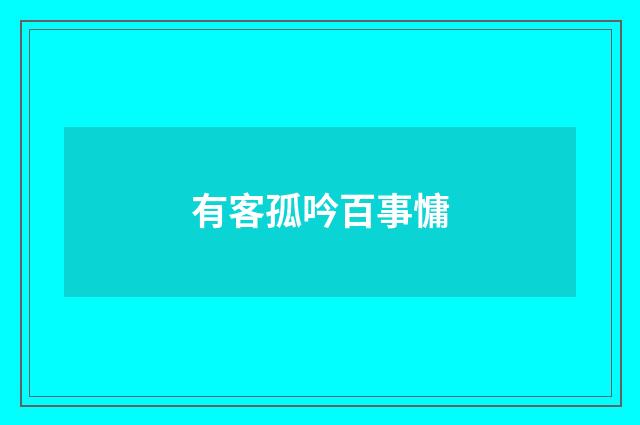 有客孤吟百事慵