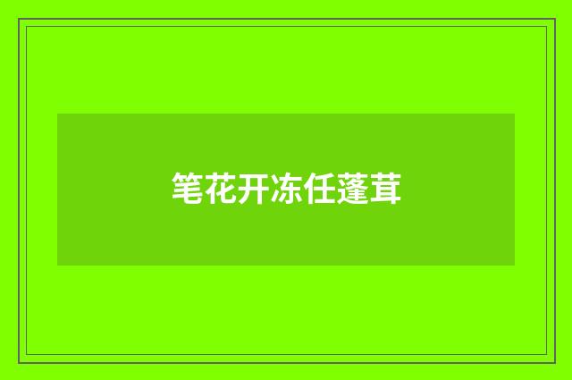 笔花开冻任蓬茸