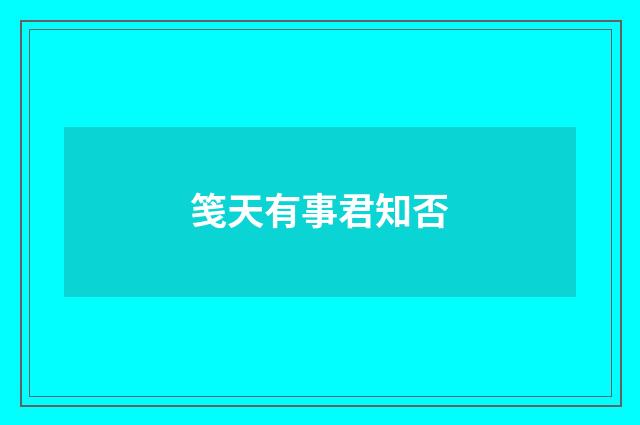 笺天有事君知否