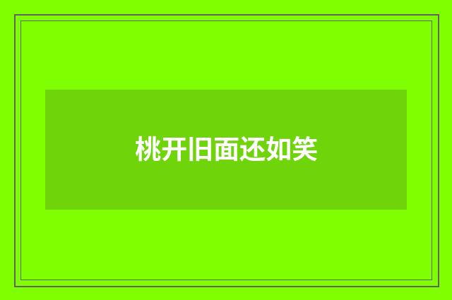 桃开旧面还如笑