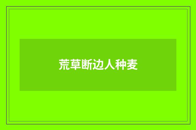 荒草断边人种麦