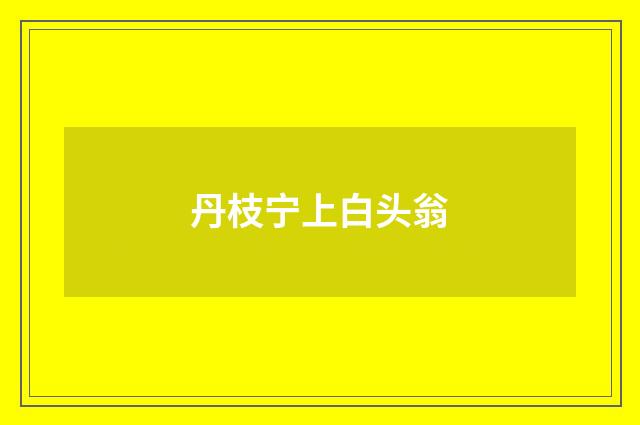 丹枝宁上白头翁