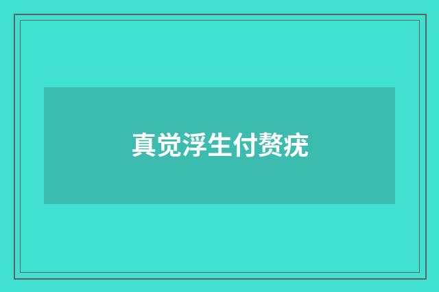 真觉浮生付赘疣
