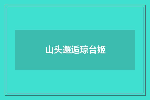 山头邂逅琼台姬